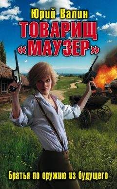Юрий Валин - Товарищ «Маузер». Братья по оружию из будущего