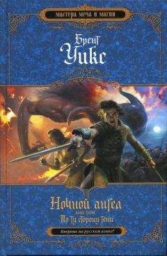 Брент Уикс - По ту сторону тени