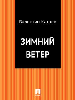 Валентин Катаев - Зимний ветер