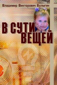 Владимир Булыгин - В сути вещей
