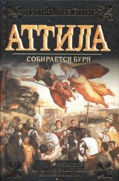 Уильям Нэйпир - Собирается буря