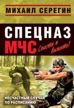 Михаил Серегин - Несчастный случай по расписанию