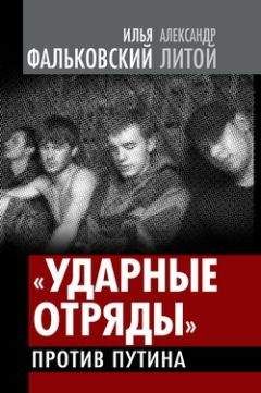 Илья Фальковский - Гражданская война уже началась