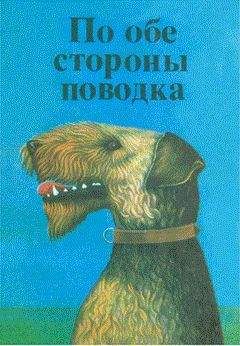 Бруно Травен - Душа собаки