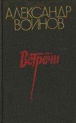 Александр Воинов - Ночи Перекопа