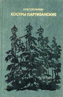 Олег Селянкин - Костры партизанские. Книга 1