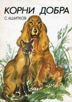 Сергей Ашитков - Корни добра (Главы из книги)