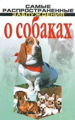 Денис Дудинский - Самые распространенные заблуждения о собаках