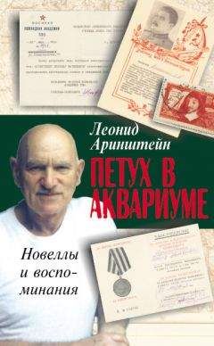 Леонид Аринштейн - Петух в аквариуме – 2, или Как я провел XX век. Новеллы и воспоминания