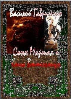 Василий Гавриленко - Соня Маршал и Книга Воительницы